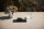 Sony WF-1000XM4 True Wireless Noise Cancelling-Kopfhörer Bluetooth Kopfhörer