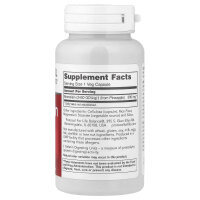 Protocol for Life Balance, Bromelain, 2400 GDU/g, 500 mg, 90 pflanzliche Kapseln