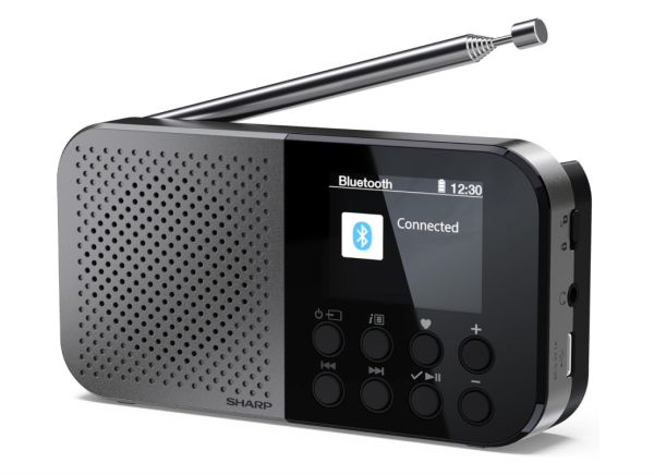SHARP Osaka DR-P520(GY) Tragbares Digitalradio – DAB+, DAB, FM-Radio