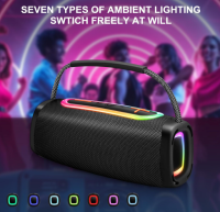 Tragbarer Bluetooth Lautsprecher IPX7 Wasserdicht &...