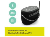 Pure Woodland Outdoor Lautsprecher mit Bluetooth & DAB+/FM Radio