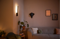 Philips Hue Wandleuchte White & Color Ambiance Liane Schwarz 740 lm
