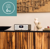 Panasonic RF-D40EG-K DAB+/FM-Radio mit Bluetooth BITTE LESEN