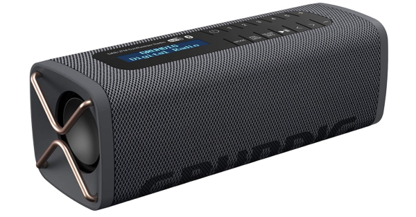 Grundig GBT Band Black - Bluetooth Lautsprecher mit DAB+ FM Radio