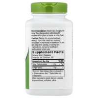 Natures Way, Ingwerwurzel, 550 mg, 240 vegane Kapseln
