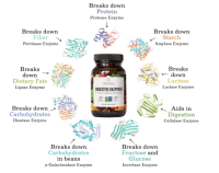 Truvani Verdauungsenzyme, 9 Enzymmischungen, Verdauungsunterstützung, 30 Kapseln