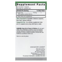 Natures Answer, Vitex, Mönchspfeffer, 40 mg, 90...