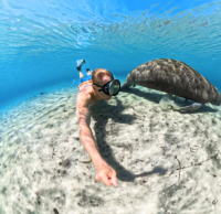 Insta360 Unterwassergehäuse, unsichtbar, kompatibel...