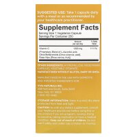 Viva Naturals, Vitamin C, 1.000 mg, 250 pflanzliche Kapseln