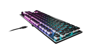 Roccat Vulcan TKL -Kompakte RGB Gaming Tastatur ❌ BITTE...