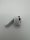 Samsung Galaxy Buds 3 SM-R530 Weiß Bluetooth Kopfhörer BITTE LESEN