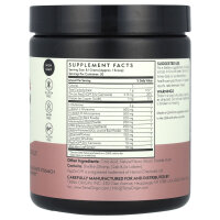 Terra Origin, Healthy Gut, Berry, gesunder Darm, Beerengeschmack, 243 g