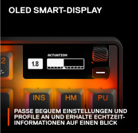 SteelSeries Apex Pro Wireless Gaming-Tastatur US-Layout QWERTY