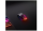 SteelSeries Aerox 3 Wireless - RGB Gaming-Mouse ❌BITTE LESEN