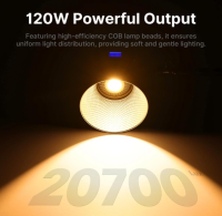 Ulanzi 120W Bi-Color V-Mount Videolicht L065CNA1 ❌BITTE LESEN