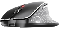 CHERRY MW 8C Ergo, Kabellose Maus mit Ergonomischer...