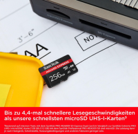 SanDisk microSD Express Karte 256 GB für Nintendo Switch OHNE OVP