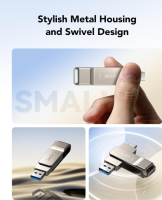 Lexar D40E Dual USB Stick 256GB, USB-C Flash Drive, OHNE OVP