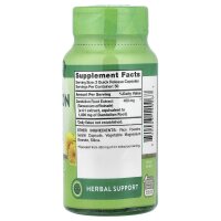 Natures Truth, Löwenzahnwurzel, 100 Kapseln mit Schnellfreisetzung (900 mg pro Kapsel)