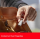 SanDisk Ultra Luxe USB-Type-C-Laufwerk 1 TB, 400 MB/s, OHNE OVP