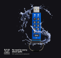 iStorage datAshur PRO 16 GB | Verschlüsselter USB-Speicherstick, OHNE OVP