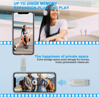 USB Stick 256GB für Phone, Levida Speicherstick,Photostick, OHNE OVP