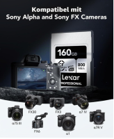 Lexar Professional SILVER Series CFexpress Typ A Karte 160GB für Sony, OHNE OVP