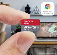 SanDisk Ultra 256 GB microSDXC UHS-I-Karte für Chromebook SD-Adapter, OHNE OVP