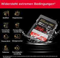 SanDisk Extreme PRO SDXC UHS-II Speicherkarte V60 256 GB , OHNE OVP