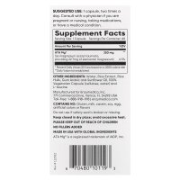 Enzymedica, Magnesium, Geist, 60 Kapseln