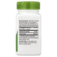 Natures Way, Fenchelsamen, 480 mg, 100 vegane Kapseln