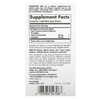 Solgar, Full Spectrum Curcumin, Vollspektrum-Kurkumin, 90 LiCaps