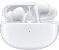 OPPO Enco X kabellose In-Ear Kopfhörer, BITTE LESEN...
