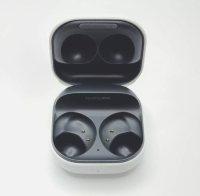 Samsung Galaxy Buds2 NUR DAS CASE Ersatzteil Kabellose...