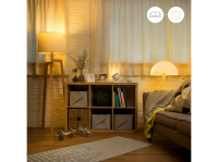 WiZ Smart Starter-Set Warmweiß 2 LED-Leuchtmittel & Fernbedienung A60 E27
