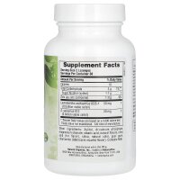 NaturesPlus, Adults Ear, Nose & Throat Lozenges with K12 Probiotics, Lutschtabletten für Erwachsene mit K12-Probiotika zur Unterstützung von Ohren, Nase und Hals, natürlicher, tropischer Kirsche-Beere-Geschmack, 60 Lutschtabletten