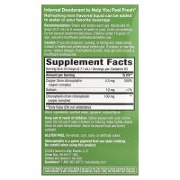 Natures Way, Chlorofresh, Chlorophyll-Tropfen, Minze, 2...