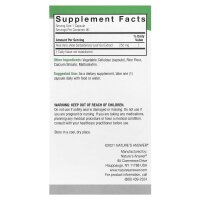 Natures Answer, Aloe Vera Phytogel, 250 mg, 90...