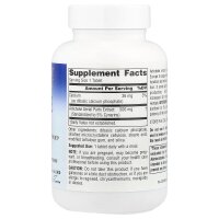 Planetary Herbals, Artischockenextrakt, 500 mg, 120 Tabletten