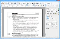 OpenOffice Edition