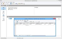 OpenOffice Edition