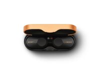 Sony WF-1000XM3 vollkommen kabellose Bluetooth Kopfhörer mit aktiver Geräuschunterdrückung zum Telefonieren u. Musikhören, Amazon Alexa - incl. Ladecase für mehr Akku, Schwarz, Einheitsgröße #1