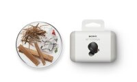 Sony WF-1000XM4 True Wireless, Noise Cancelling-Kopfhörer AUSSTELLUNGSSTÜCK