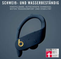Beats Powerbeats Pro Kabellose In-Ear Bluetooth...