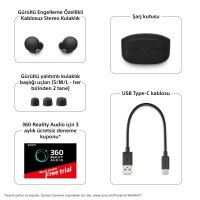 Sony WF-1000XM4 True Wireless Noise Cancelling Kopfhörer Schwarz BITTE LESEN
